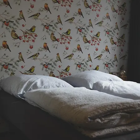 Hostel Altstadt Quartier *