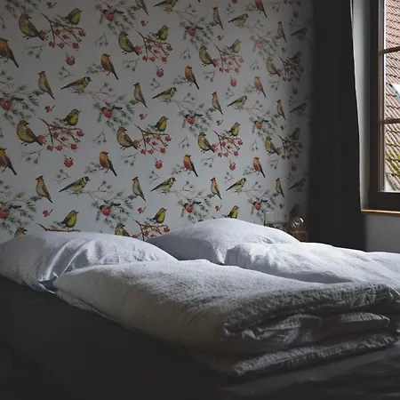 Hostel Altstadt Quartier *