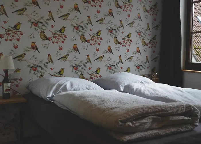 Hostel Altstadt Quartier *